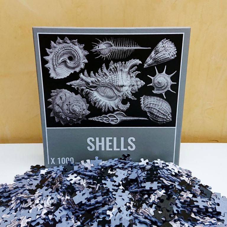 Cloudberries - Shells - 1000 pieces