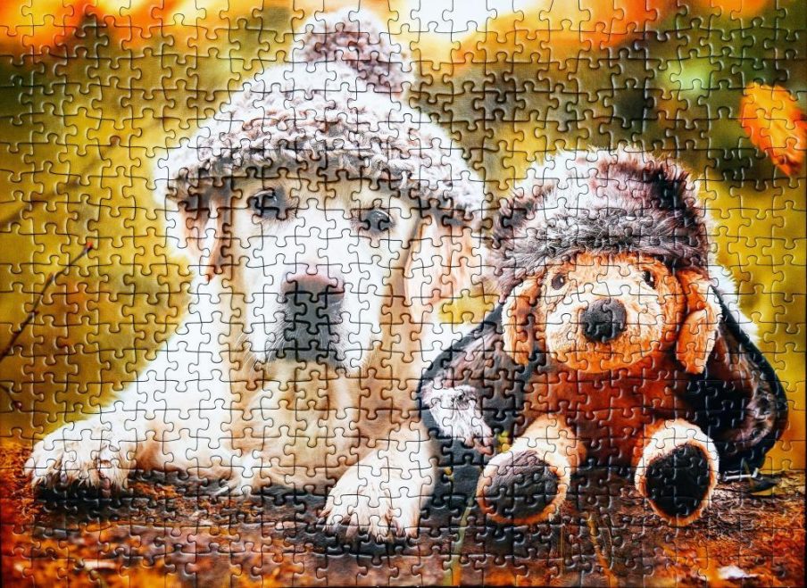 Puzzle Ravensburger - Winter Labrador - 500 pieces