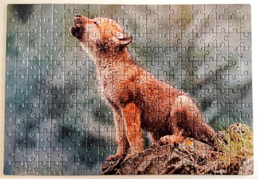 Clementoni Puzzle - Baby Wolf - 250 pieces